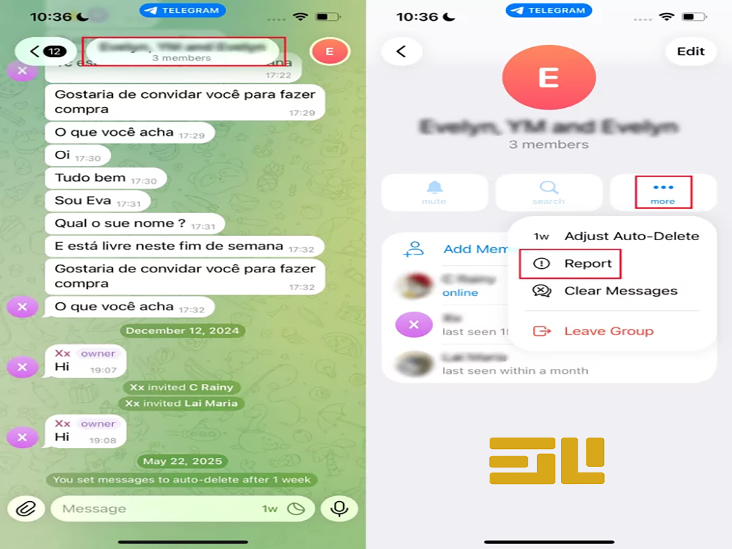 ریپورت گروه در تلگرام